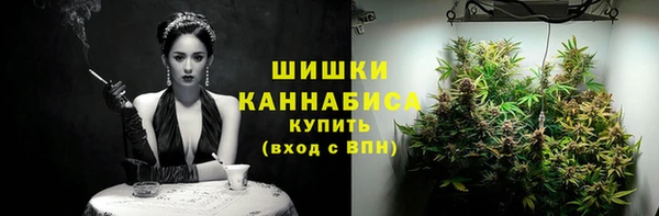 соль ск Каменногорск