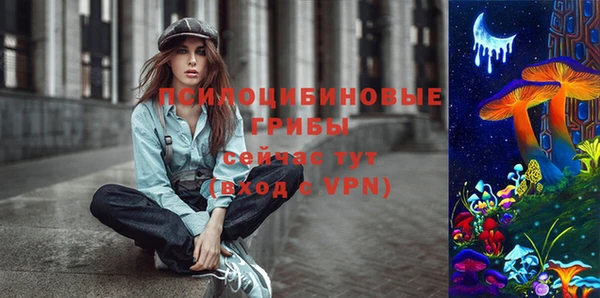 2c-b Каменка