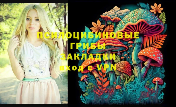 бутират Иннополис