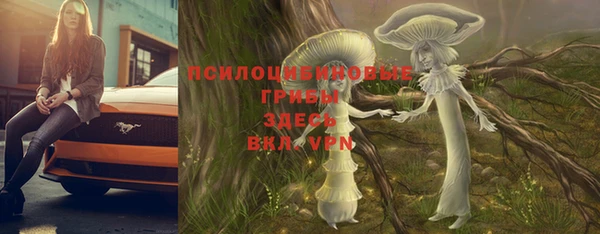 jwh Инсар